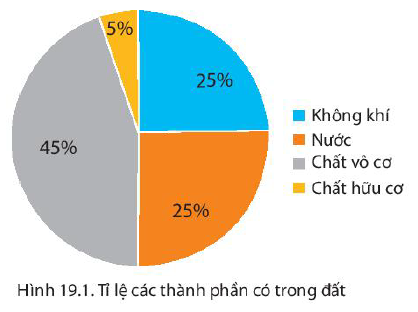 Các Thành Phần Của Đa Phương Tiện: Khám Phá Chi Tiết và Ứng Dụng Thực Tiễn