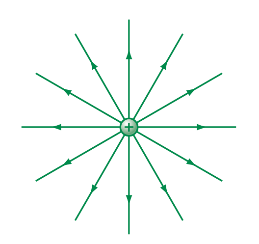 Củng cố kiến thức